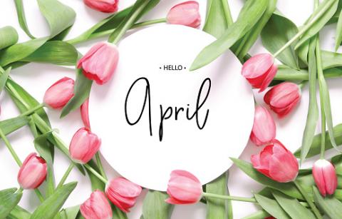 hello april tulips